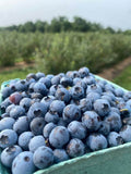 Blueberry Soy Wax Melts