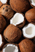 Coconut Bites - Soy Wax Melts